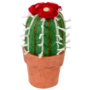 Cactus + Full Apron