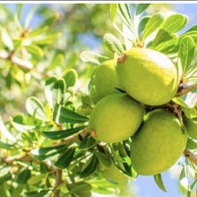 Load image into Gallery viewer, Argan Oil, 100% Organic